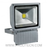 50W LED Floodlight