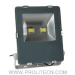 100W LED Floodlight