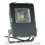 50W LED Floodlight